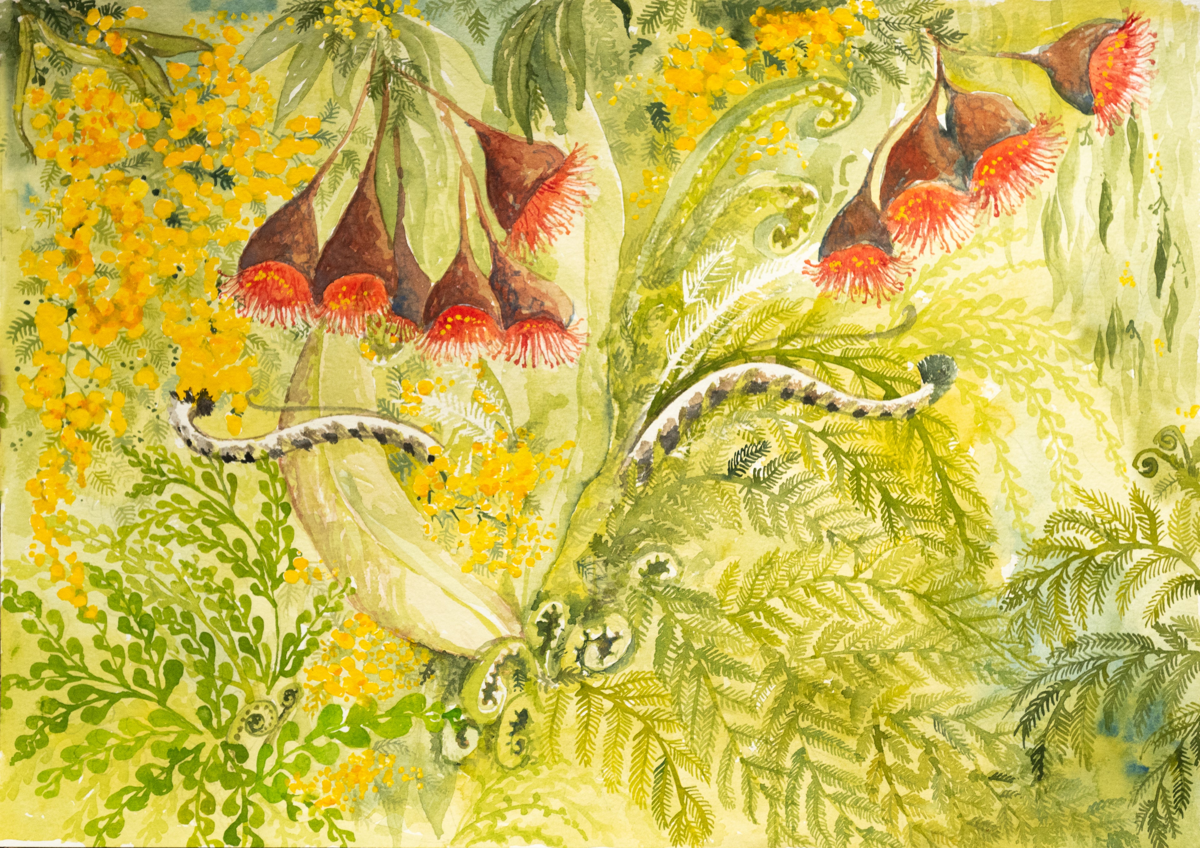 Kallista General Store Gift Hampers Box Artwork