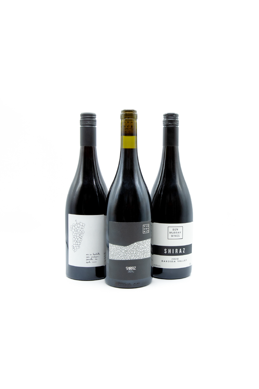 A little study of Shiraz